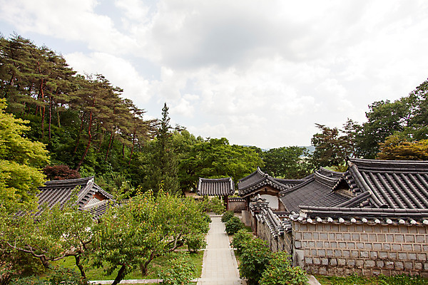 포토 JPG 주간 나무 식물 구름 한국문화 계절 고건축 한국건축 자연 하늘 한국 풍경 사람없음 야외 여름 여름풍경 문화재 사찰 사원 과거 도산서원 안동 국내포토 자연요소 동양문화 건축물 건축 아시아 컨셉 비즈니스 종교건축 경상북도 생태계 서원 파일형식 여름_계절