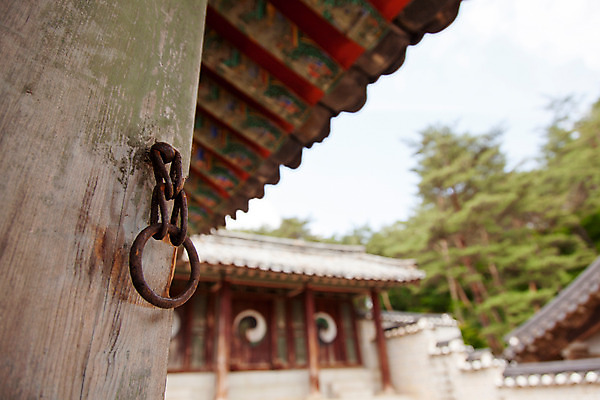 포토 JPG 주간 나무 식물 한국문화 계절 고건축 유적 한국건축 자연 한국 손잡이 풍경 사람없음 야외 여름 여름풍경 문화재 과거 도산서원 서원 안동 국내포토 자연요소 동양문화 전통 건축물 건축 아시아 컨셉 경상북도 생태계 파일형식 여름_계절