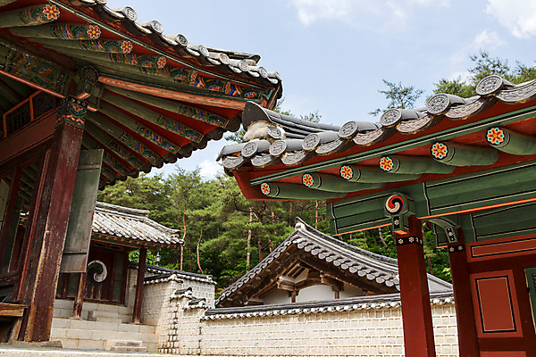 포토 JPG 주간 나무 식물 구름 한국문화 계절 고건축 유적 한국건축 자연 하늘 한국 기와 풍경 사람없음 야외 여름 여름풍경 문화재 과거 도산서원 서원 안동 국내포토 자연요소 동양문화 전통 건축물 건축 아시아 컨셉 경상북도 생태계 파일형식 여름_계절