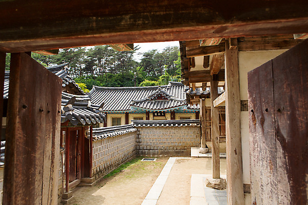 포토 JPG 주간 나무 식물 한국문화 계절 고건축 유적 한국건축 자연 한국 풍경 사람없음 야외 여름 문 여름풍경 문화재 기둥 과거 도산서원 서원 안동 국내포토 자연요소 동양문화 전통 건축물 건축 아시아 컨셉 경상북도 생태계 파일형식 여름_계절