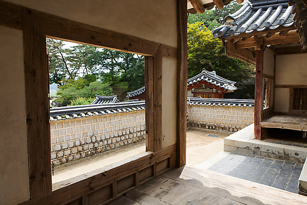 포토 JPG 주간 나무 식물 한국문화 계절 고건축 유적 한국건축 자연 한국 풍경 사람없음 야외 여름 여름풍경 문화재 과거 도산서원 서원 안동 국내포토 자연요소 동양문화 전통 건축물 건축 아시아 컨셉 경상북도 생태계 파일형식 여름_계절