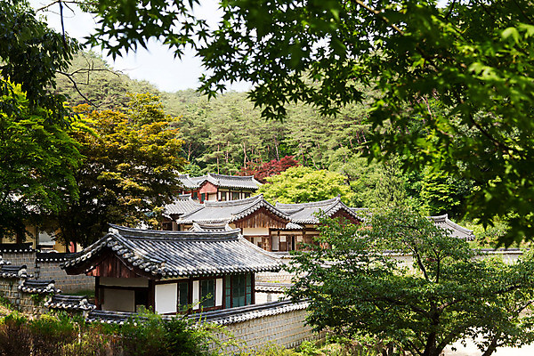 포토 자연요소 식물 동양문화 전통 건축물 계절 건축 아시아 컨셉 한국 풍경 담장 돌_바위 경상북도 생태계 서원 안동 파일형식 여름_계절 도산서원 고건축 여름풍경 문화재 자연 한국문화 한국건축 나무 하늘 돌담 유적 여름 야외 주간 사람없음 JPG 과거 국내포토