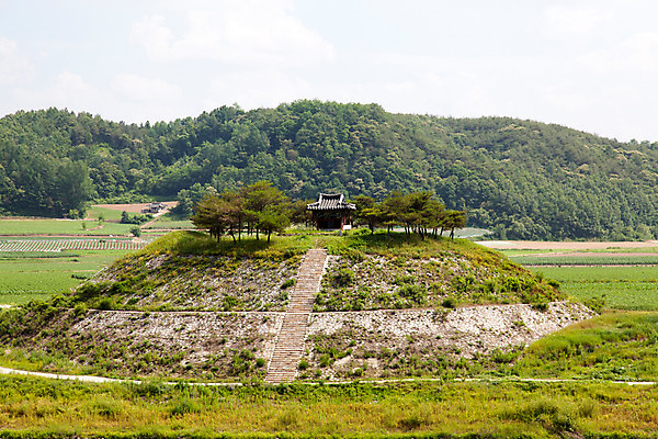 포토 JPG 주간 나무 식물 한국문화 계절 유적 자연 한국 풍경 사람없음 야외 여름 계단 여름풍경 문화재 풀 과거 도산서원 서원 안동 시사단 국내포토 자연요소 동양문화 전통 아시아 컨셉 경상북도 생태계 비각 파일형식 여름_계절