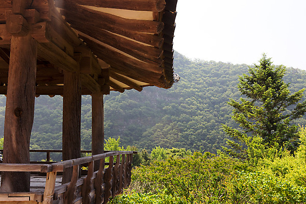 포토 JPG 주간 나무 식물 한국문화 계절 고건축 유적 한국건축 하늘 한국 풍경 사람없음 야외 여름 여름풍경 문화재 정자 과거 서원 안동 병산서원 고택 국내포토 자연요소 동양문화 전통 건축물 건축 아시아 컨셉 경상북도 파일형식 여름_계절