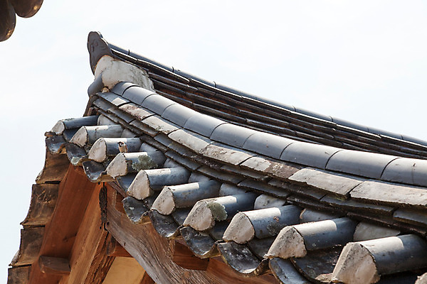 포토 JPG 주간 한국문화 계절 고건축 유적 한국건축 지붕 한국 기와 풍경 사람없음 야외 여름 여름풍경 문화재 과거 서원 안동 병산서원 고택 국내포토 자연요소 동양문화 전통 건축물 건축 아시아 컨셉 경상북도 파일형식 여름_계절