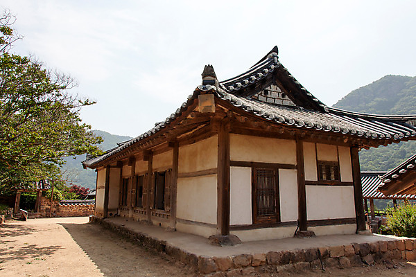 포토 JPG 주간 나무 식물 한국문화 계절 고건축 유적 한국건축 하늘 한국 풍경 사람없음 야외 여름 여름풍경 문화재 과거 서원 안동 병산서원 고택 국내포토 자연요소 동양문화 전통 건축물 건축 아시아 컨셉 경상북도 파일형식 여름_계절