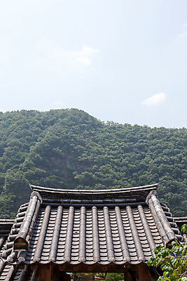 포토 JPG 주간 나무 한국문화 계절 고건축 유적 한국건축 하늘 지붕 한국 기와 풍경 사람없음 야외 여름 여름풍경 문화재 과거 서원 안동 병산서원 고택 국내포토 자연요소 식물 동양문화 전통 건축물 건축 아시아 컨셉 경상북도 파일형식 여름_계절