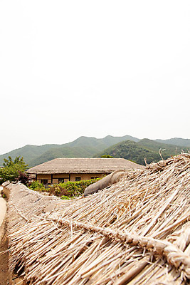 포토 JPG 주간 한국문화 계절 고건축 한국건축 하늘 지붕 한국 풍경 사람없음 야외 여름 여름풍경 문화재 볏짚 과거 안동 하회마을 국내포토 자연요소 동양문화 건축물 건축 아시아 컨셉 짚 경상북도 파일형식 여름_계절