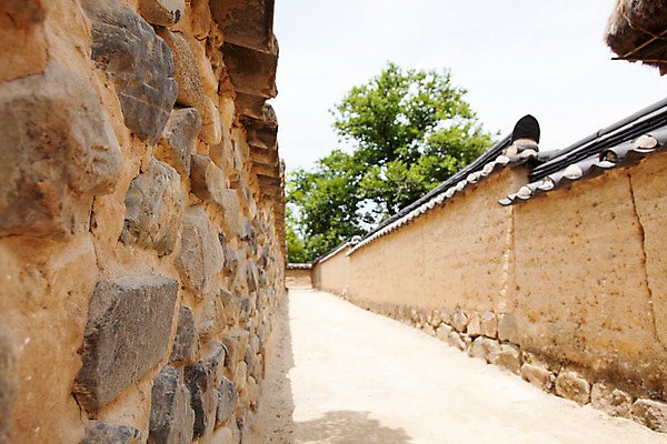 포토 JPG 주간 한국문화 계절 길 고건축 한국건축 한국 돌담 풍경 사람없음 야외 여름 여름풍경 원근감 문화재 과거 안동 하회마을 국내포토 자연요소 동양문화 건축물 건축 아시아 뷰포인트 컨셉 담장 돌_바위 경상북도 파일형식 여름_계절