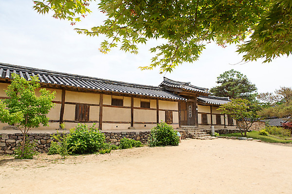 포토 JPG 주간 나무 식물 한국문화 계절 고건축 한국건축 하늘 한국 풍경 사람없음 야외 여름 여름풍경 문화재 풀 과거 안동 하회마을 국내포토 자연요소 동양문화 건축물 건축 아시아 컨셉 경상북도 파일형식 여름_계절