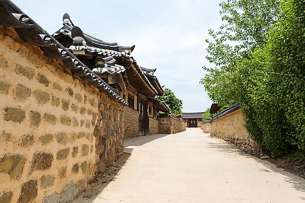 포토 JPG 주간 나무 식물 한국문화 계절 길 고건축 한국건축 하늘 한국 돌담 풍경 사람없음 야외 여름 여름풍경 원근감 문화재 과거 안동 하회마을 국내포토 자연요소 동양문화 건축물 건축 아시아 뷰포인트 컨셉 담장 돌_바위 경상북도 파일형식 여름_계절