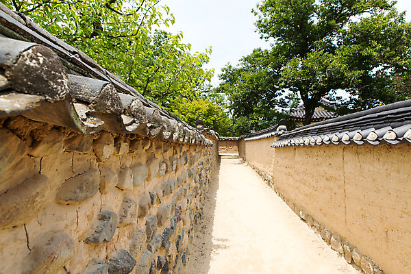 포토 JPG 주간 나무 식물 한국문화 계절 길 고건축 한국건축 한국 돌담 풍경 사람없음 야외 여름 여름풍경 원근감 문화재 과거 안동 하회마을 국내포토 자연요소 동양문화 건축물 건축 아시아 뷰포인트 컨셉 담장 돌_바위 경상북도 파일형식 여름_계절