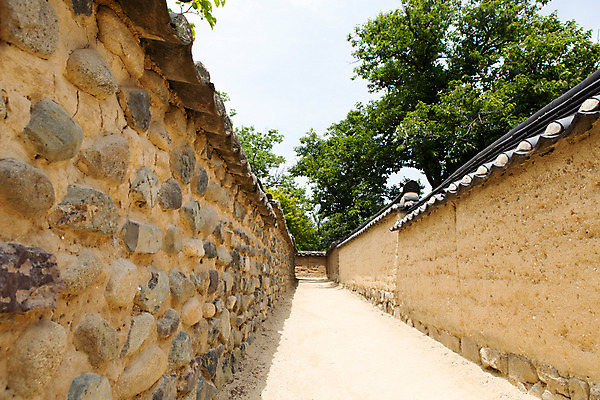 포토 JPG 주간 나무 식물 한국문화 계절 길 고건축 한국건축 한국 돌담 풍경 사람없음 야외 여름 여름풍경 원근감 문화재 과거 안동 하회마을 국내포토 자연요소 동양문화 건축물 건축 아시아 뷰포인트 컨셉 담장 돌_바위 경상북도 파일형식 여름_계절