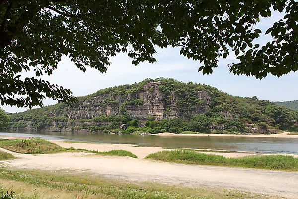 포토 JPG 주간 나무 식물 계절 한국 풍경 사람없음 야외 여름 강 여름풍경 과거 안동 하회마을 국내포토 자연요소 아시아 컨셉 경상북도 파일형식 여름_계절