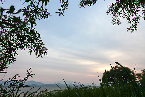 포토 JPG 주간 나무 식물 구름 한국문화 계절 자연 하늘 한국 풍경 사람없음 야외 여름 일출 여름풍경 풀 경상남도 상쾌 우포늪 창녕 국내포토 자연요소 동양문화 감정 아시아 노을 습지 경상도 생태계 파일형식 여름_계절