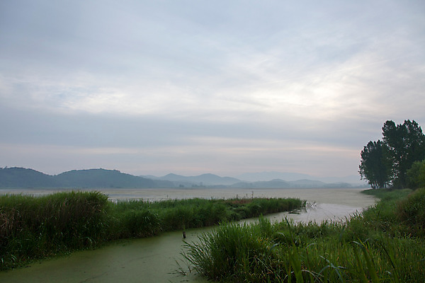 포토 JPG 주간 나무 식물 구름 한국문화 계절 자연 하늘 한국 풍경 사람없음 야외 여름 일출 여름풍경 풀 습지 경상남도 상쾌 우포늪 창녕 국내포토 자연요소 동양문화 감정 아시아 노을 경상도 생태계 파일형식 여름_계절