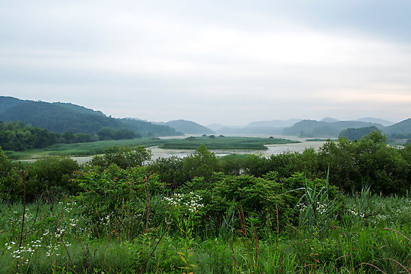 포토 JPG 주간 나무 식물 구름 한국문화 계절 자연 하늘 한국 풍경 사람없음 야외 여름 여름풍경 풀 경상남도 상쾌 우포늪 창녕 국내포토 자연요소 동양문화 감정 아시아 습지 경상도 생태계 파일형식 여름_계절