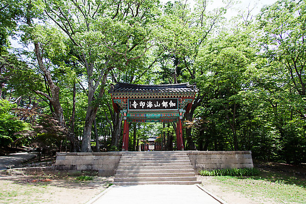 포토 JPG 주간 나무 식물 한국문화 계절 종교 고건축 불교 한국건축 자연 한국 풍경 사람없음 야외 여름 계단 여름풍경 문화재 사찰 경상남도 과거 합천 해인사 국내포토 자연요소 동양문화 건축물 건축 아시아 컨셉 종교건축 경상도 생태계 파일형식 여름_계절