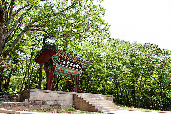 포토 JPG 주간 나무 식물 한국문화 계절 종교 고건축 불교 한국건축 자연 한국 풍경 사람없음 야외 여름 계단 여름풍경 문화재 사찰 경상남도 과거 합천 해인사 국내포토 자연요소 동양문화 건축물 건축 아시아 컨셉 종교건축 경상도 생태계 파일형식 나라 문화