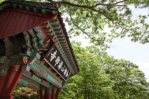 포토 JPG 주간 나무 식물 한국문화 계절 종교 로우앵글 고건축 불교 한국건축 하늘 한국 풍경 사람없음 야외 여름 여름풍경 문화재 사찰 경상남도 과거 합천 해인사 현판 국내포토 자연요소 동양문화 건축물 건축 아시아 뷰포인트 컨셉 종교건축 경상도 파일형식 여름_계절