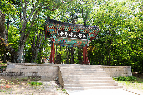 포토 JPG 주간 나무 식물 한국문화 계절 종교 고건축 불교 한국건축 자연 한국 풍경 사람없음 야외 여름 계단 여름풍경 문화재 사찰 경상남도 과거 합천 해인사 현판 국내포토 자연요소 동양문화 건축물 건축 아시아 컨셉 종교건축 경상도 생태계 파일형식 여름_계절