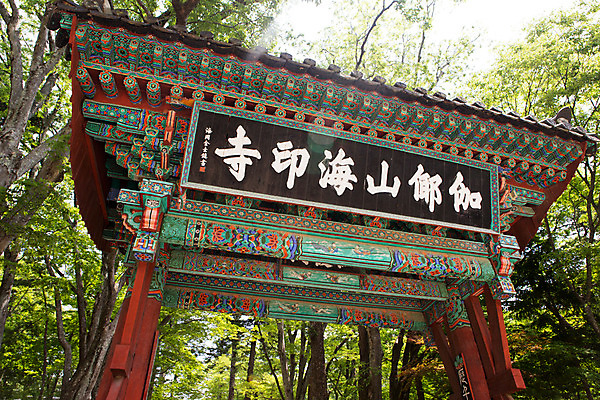 포토 JPG 주간 나무 식물 한국문화 계절 종교 로우앵글 고건축 불교 한국건축 하늘 한국 풍경 사람없음 야외 여름 여름풍경 문화재 사찰 경상남도 과거 합천 해인사 현판 국내포토 자연요소 동양문화 건축물 건축 아시아 뷰포인트 컨셉 종교건축 경상도 파일형식 여름_계절