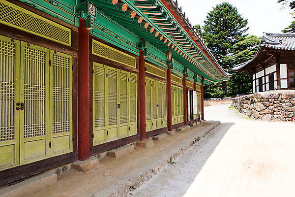 포토 JPG 주간 한국문화 계절 종교 고건축 불교 한국건축 한국 풍경 사람없음 야외 여름 여름풍경 문화재 사찰 경상남도 과거 합천 해인사 국내포토 자연요소 동양문화 건축물 건축 아시아 컨셉 종교건축 경상도 파일형식 여름_계절