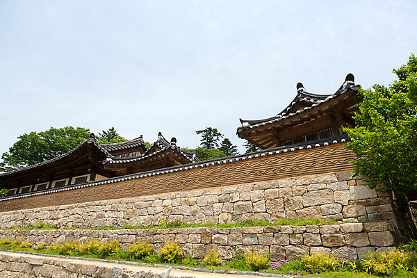 포토 JPG 주간 나무 식물 한국문화 계절 꽃 종교 고건축 불교 한국건축 하늘 한국 돌담 풍경 사람없음 야외 여름 여름풍경 문화재 사찰 경상남도 과거 합천 해인사 국내포토 자연요소 동양문화 건축물 건축 아시아 컨셉 종교건축 담장 돌_바위 경상도 파일형식 여름_계절