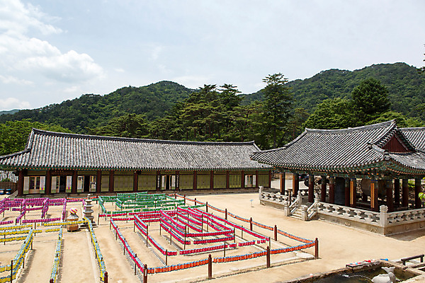포토 JPG 주간 나무 식물 구름 한국문화 계절 종교 고건축 불교 한국건축 하늘 한국 풍경 사람없음 야외 여름 여름풍경 문화재 사찰 경상남도 과거 합천 해인사 국내포토 자연요소 동양문화 건축물 건축 아시아 컨셉 종교건축 경상도 파일형식 여름_계절