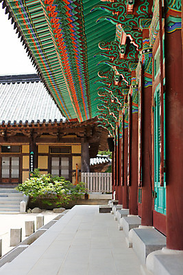 포토 JPG 주간 식물 한국문화 계절 종교 고건축 불교 한국건축 한국 풍경 사람없음 야외 여름 여름풍경 문화재 사찰 풀 경상남도 과거 합천 해인사 국내포토 자연요소 동양문화 건축물 건축 아시아 컨셉 종교건축 경상도 파일형식 여름_계절