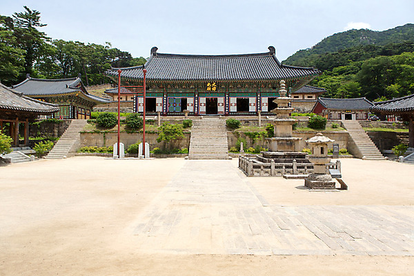 포토 JPG 주간 나무 식물 한국문화 계절 종교 고건축 불교 한국건축 한국 풍경 사람없음 야외 여름 탑 정원 여름풍경 문화재 사찰 풀 경상남도 과거 대적광전 삼층석탑 합천 해인사 국내포토 자연요소 동양문화 건축물 건축 아시아 컨셉 종교건축 석탑 경상도 파일형식 여름_계절