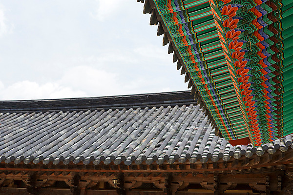 포토 JPG 주간 한국문화 계절 종교 로우앵글 고건축 불교 한국건축 하늘 지붕 한국 기와 풍경 사람없음 야외 여름 여름풍경 문화재 사찰 경상남도 과거 합천 해인사 국내포토 자연요소 동양문화 건축물 건축 아시아 뷰포인트 컨셉 종교건축 경상도 파일형식 여름_계절