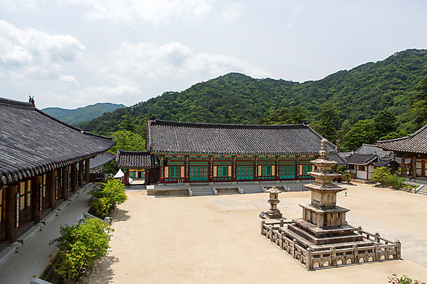 포토 JPG 주간 나무 식물 구름 한국문화 계절 종교 고건축 불교 한국건축 하늘 한국 풍경 사람없음 야외 여름 정원 여름풍경 문화재 사찰 풀 경상남도 과거 삼층석탑 합천 해인사 국내포토 자연요소 동양문화 건축물 건축 아시아 컨셉 종교건축 석탑 경상도 파일형식 여름_계절
