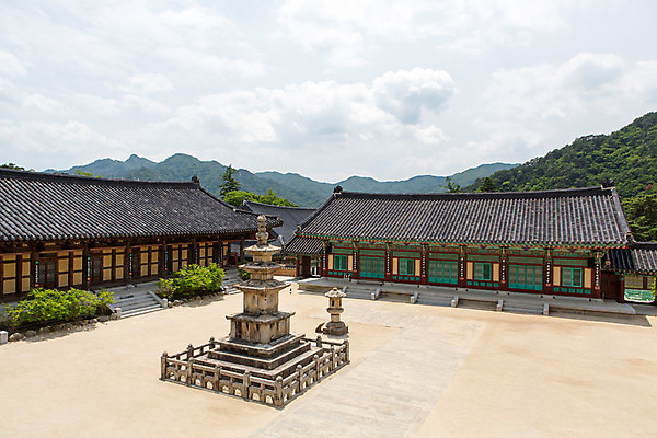 포토 JPG 주간 구름 한국문화 계절 종교 고건축 불교 한국건축 하늘 한국 풍경 사람없음 야외 여름 정원 여름풍경 문화재 사찰 풀 경상남도 과거 삼층석탑 합천 해인사 국내포토 자연요소 식물 동양문화 건축물 건축 아시아 컨셉 종교건축 석탑 경상도 파일형식 여름_계절