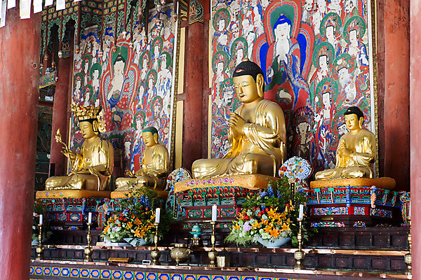 포토 JPG 주간 한국문화 꽃 종교 불교 한국 풍경 사람없음 야외 조각상 문화재 사찰 경상남도 불상 부처 과거 합천 해인사 국내포토 자연요소 식물 동양문화 아시아 컨셉 종교건축 조형물 경상도 파일형식