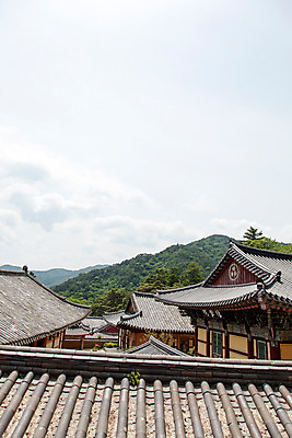포토 JPG 주간 나무 구름 한국문화 계절 종교 고건축 불교 한국건축 하늘 지붕 한국 기와 풍경 사람없음 야외 여름 여름풍경 문화재 사찰 경상남도 과거 합천 해인사 국내포토 자연요소 식물 동양문화 건축물 건축 아시아 컨셉 종교건축 경상도 파일형식 여름_계절