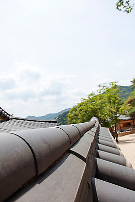 포토 JPG 주간 구름 한국문화 계절 종교 고건축 불교 한국건축 하늘 지붕 한국 기와 풍경 사람없음 야외 여름 여름풍경 문화재 사찰 풀 경상남도 과거 합천 해인사 국내포토 자연요소 식물 동양문화 건축물 건축 아시아 컨셉 종교건축 경상도 파일형식 여름_계절