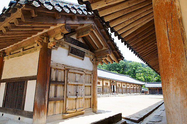 포토 JPG 주간 한국문화 계절 종교 고건축 불교 한국건축 한국 풍경 사람없음 야외 여름 여름풍경 문화재 사찰 경상남도 과거 합천 해인사 국내포토 자연요소 동양문화 건축물 건축 아시아 컨셉 종교건축 경상도 파일형식 여름_계절