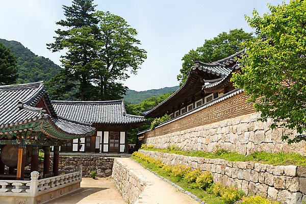 포토 JPG 주간 나무 식물 한국문화 계절 종교 고건축 불교 한국건축 하늘 한국 돌담 풍경 사람없음 야외 여름 여름풍경 문화재 사찰 풀 경상남도 과거 합천 해인사 국내포토 자연요소 동양문화 건축물 건축 아시아 컨셉 종교건축 담장 돌_바위 경상도 파일형식 여름_계절