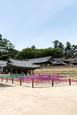 포토 JPG 주간 나무 식물 한국문화 계절 종교 고건축 불교 한국건축 하늘 한국 풍경 사람없음 야외 여름 정원 여름풍경 문화재 사찰 경상남도 과거 합천 해인사 국내포토 자연요소 동양문화 건축물 건축 아시아 컨셉 종교건축 경상도 파일형식 여름_계절