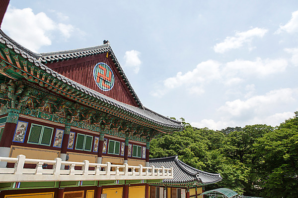 포토 JPG 주간 나무 식물 구름 한국문화 계절 종교 고건축 불교 한국건축 하늘 한국 풍경 사람없음 야외 여름 여름풍경 문화재 사찰 경상남도 과거 합천 해인사 국내포토 자연요소 동양문화 건축물 건축 아시아 컨셉 종교건축 경상도 파일형식 여름_계절