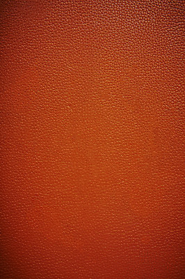 포토 JPG 스튜디오촬영 백그라운드 사람없음 표현 가죽 질감 국내포토 실내 파일형식