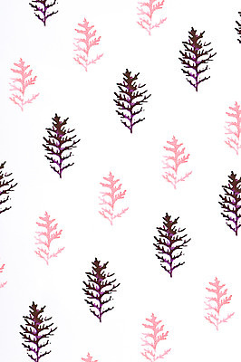 포토 JPG 스튜디오촬영 배경화면 백그라운드 무늬 나뭇잎 사람없음 미술도구 표현 질감 국내포토 잎 실내 오브젝트 파일형식