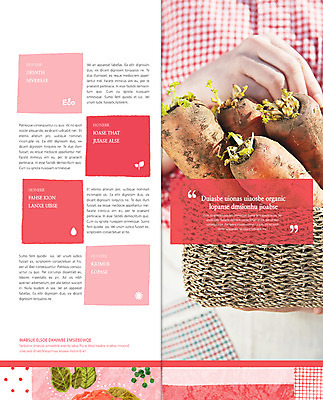 PSD 템플릿 편집 표지디자인 북디자인 웰빙 출판디자인 내지 음식 리플렛 백그라운드 채소 2단접지 북커버 건강 들기 팜플렛 농작물 바구니 당근 수확 유기농 이미지템플릿 농업 모션 뿌리채소 파일형식