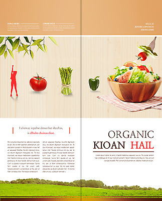 PSD 식물 템플릿 편집 표지디자인 북디자인 웰빙 출판디자인 실루엣 내지 음식 리플렛 백그라운드 포크 토마토 채소 2단접지 북커버 방울토마토 피망 나뭇잎 건강 팜플렛 초원 샐러드 유기농 채식 아스파라거스 믹싱볼 이미지템플릿 그릇 식기 잎 촬영기법 파일형식
