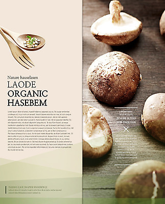 PSD 템플릿 편집 표지디자인 북디자인 웰빙 출판디자인 내지 음식 리플렛 백그라운드 포크 채소 2단접지 북커버 건강 팜플렛 사람없음 농작물 숟가락 버섯 유기농 이미지템플릿 식기 농업 수저 파일형식