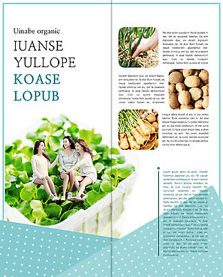 전신 PSD 템플릿 편집 표지디자인 북디자인 웰빙 출판디자인 여자 내지 음식 리플렛 백그라운드 채소 2단접지 북커버 감자 건강 웃음 사람 앉기 동양인 팜플렛 20대 성인 세명 한국인 수확 유기농 파 열무 여자만 성인여자만 청년만 청년여자만 성인만 이미지템플릿 농업 모션 표정 인종 청년 무 파일형식
