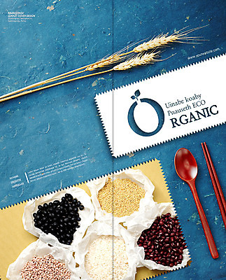 PSD 식물 템플릿 편집 표지디자인 북디자인 웰빙 출판디자인 표지 음식 리플렛 백그라운드 2단접지 북커버 젓가락 콩 곡류 건강 팜플렛 사람없음 숟가락 쌀 유기농 이삭 잡곡 검은콩 이미지템플릿 수저 파일형식