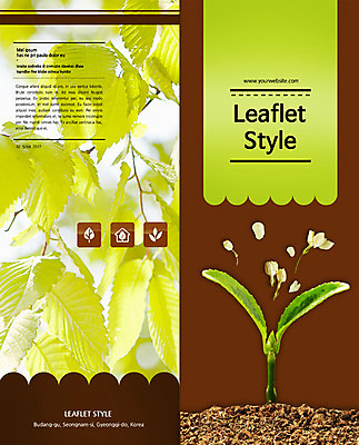 PSD 식물 템플릿 편집 표지디자인 북디자인 출판디자인 계절 표지 꽃 리플렛 백그라운드 2단접지 북커버 자연 나뭇잎 팜플렛 사람없음 새싹 흙 봄 이미지템플릿 잎 생태계 파일형식