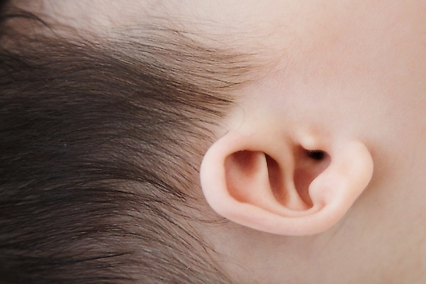 포토 JPG 스튜디오촬영 실내 한명 사람 동양인 신체부위 한국인 아기 귀 남자만 남자한명만 아기만 남자아기만 남자아기한명만 국내포토 1 인종 내부 파일형식